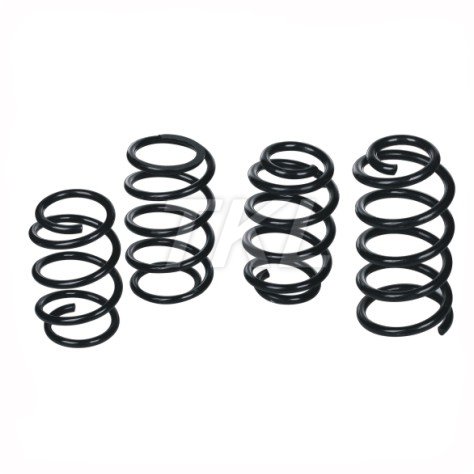 Brake Chamber Spring