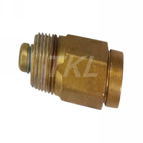 Check Valve